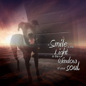 Meet your Posher, Carolyn